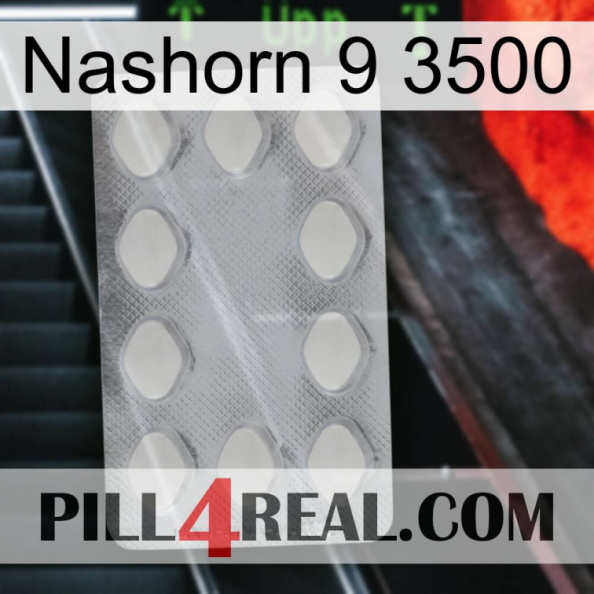 Rhino 9 3500 16.jpg